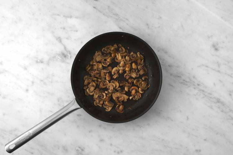 Au tour des champignons
