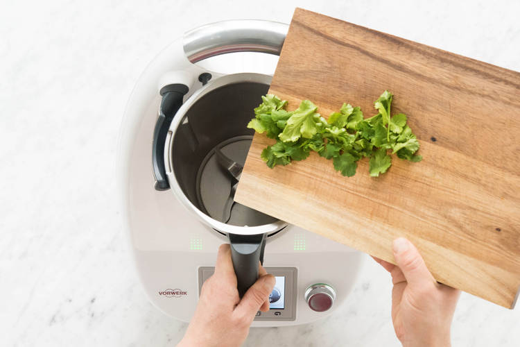 Koriander zerkleinern