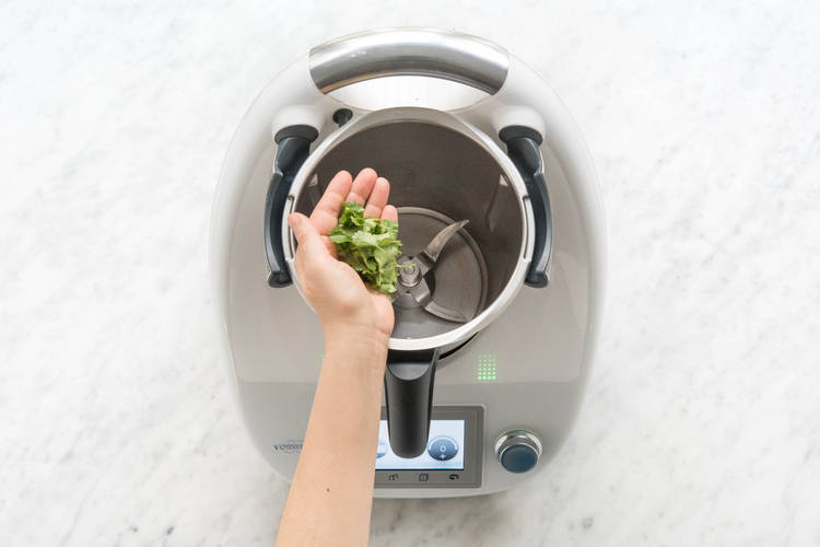 Koriander in den Mixtopf geben