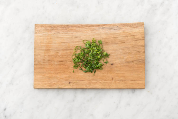 Slice Pork and Scallions