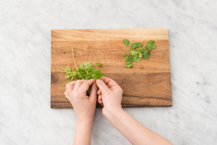 PICK THE CORIANDER
